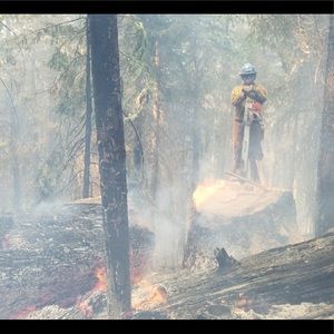 Meet your Posher, Lane